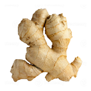 Ginger