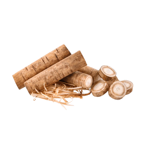 Burdock Root