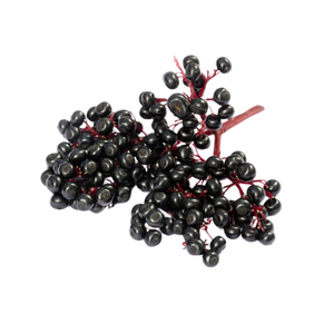Elderberry
