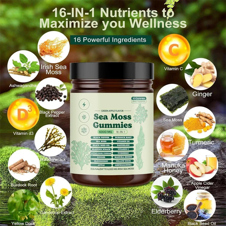 Revéra Sea Moss Revive