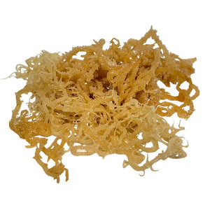 Sea Moss